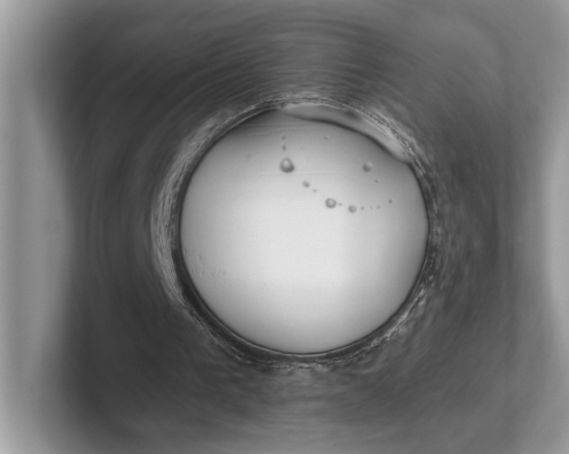 X0000101420193200807211136