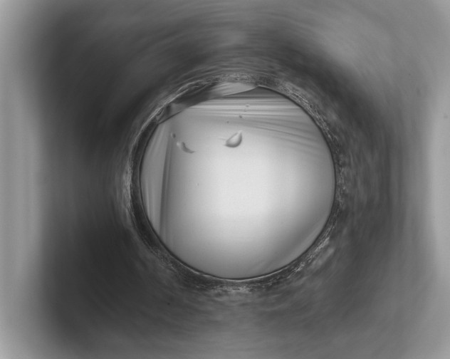 X0000101420194200807211136