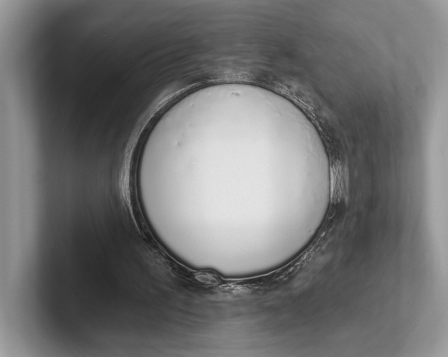 X0000101420195200807211136