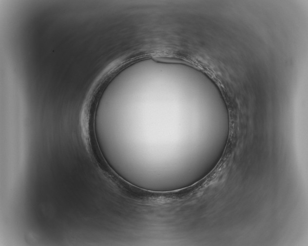 X0000101420197200807211136
