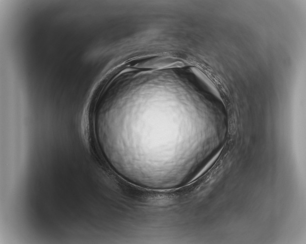 X0000101420198200807211136