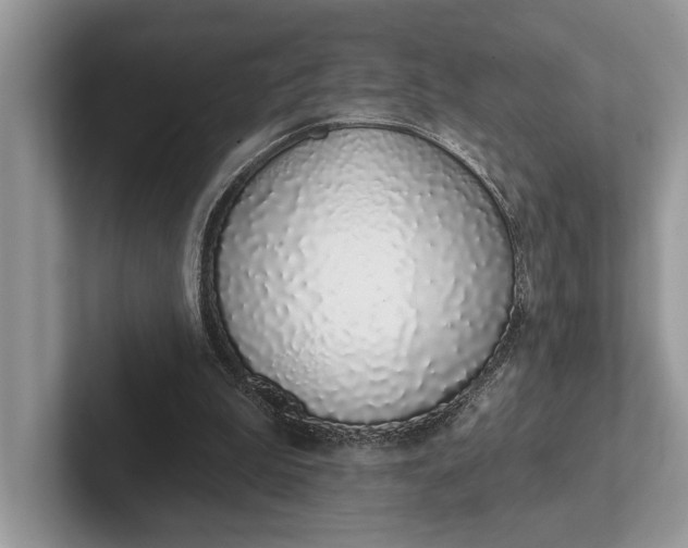 X0000101420199200807211136