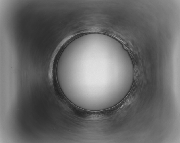 X0000101420200200807211136