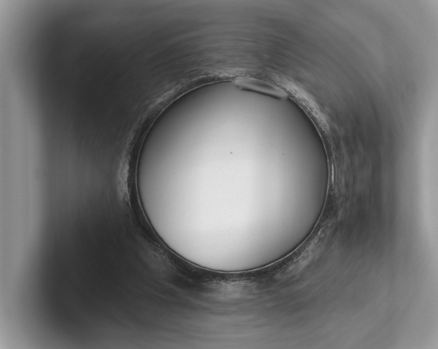 X0000101420201200807211136