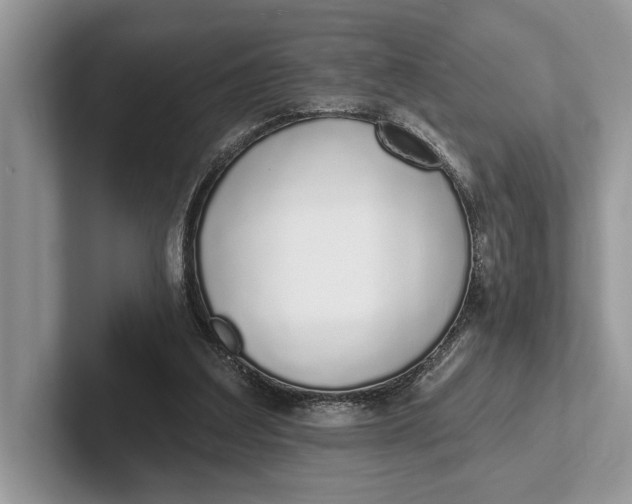 X0000101420203200807211136