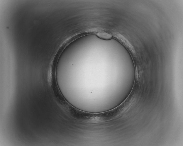 X0000101420204200807211136