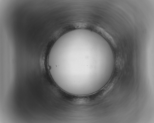 X0000101420209200807211136