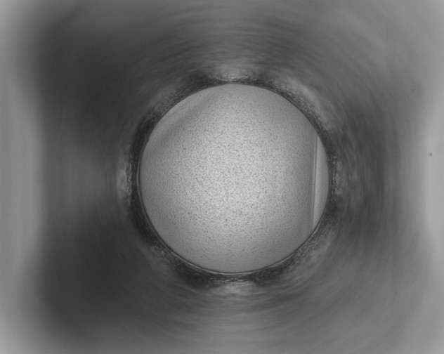 X0000101420210200807211136