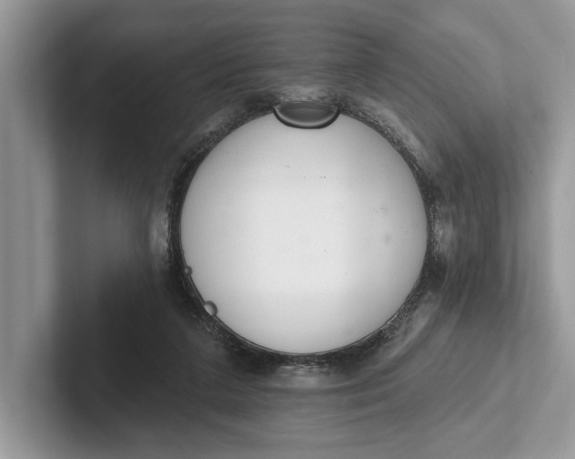 X0000101420211200807211136
