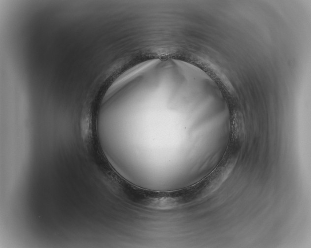 X0000101420212200807211136