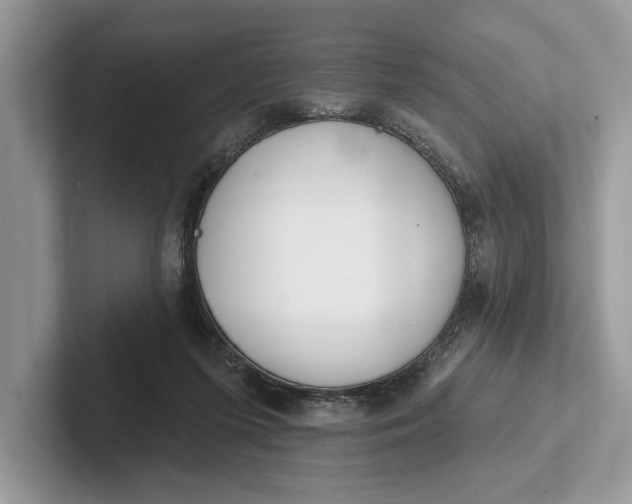 X0000101420215200807211136