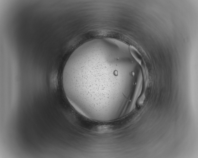X0000101420216200807211136