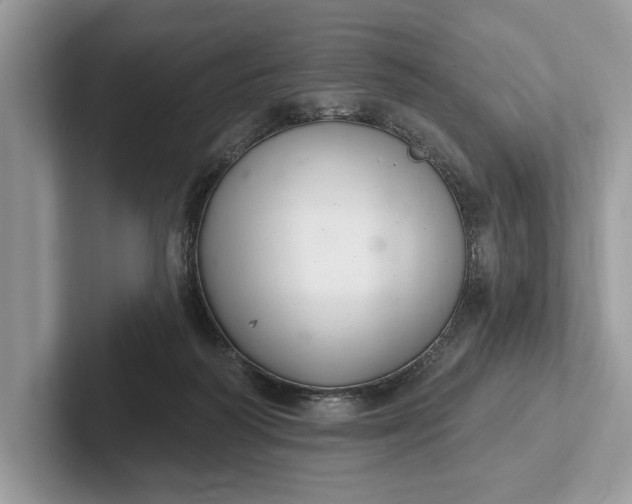 X0000101420218200807211136