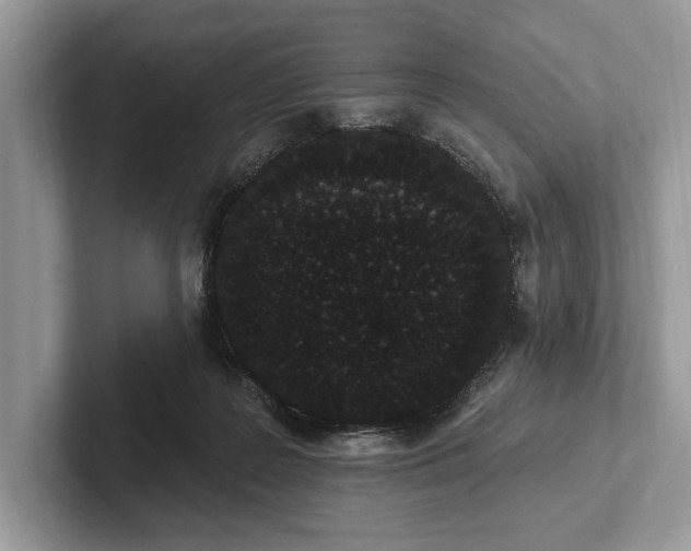 X0000101420219200807211136