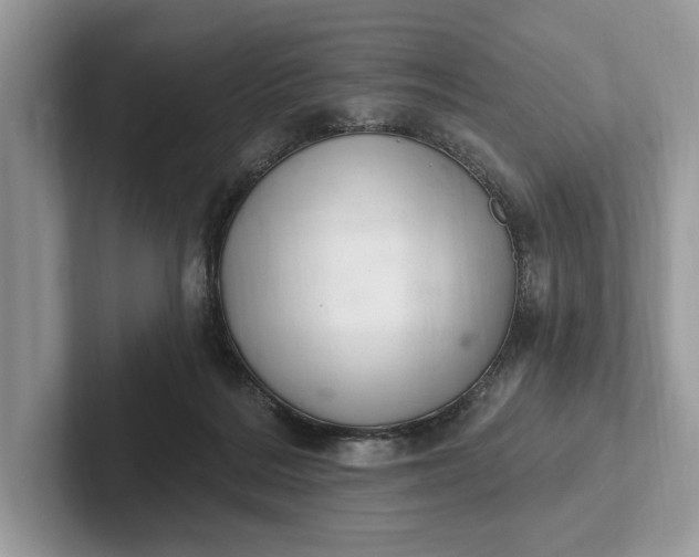 X0000101420220200807211136