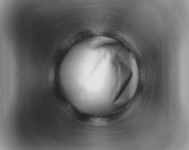X0000101420221200807211135