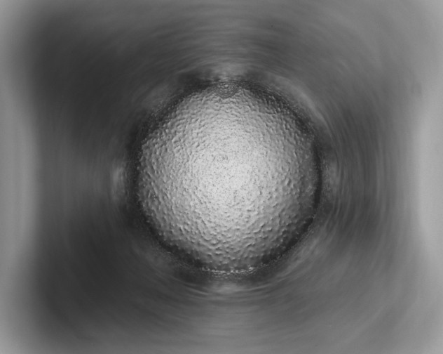 X0000101420222200807211135