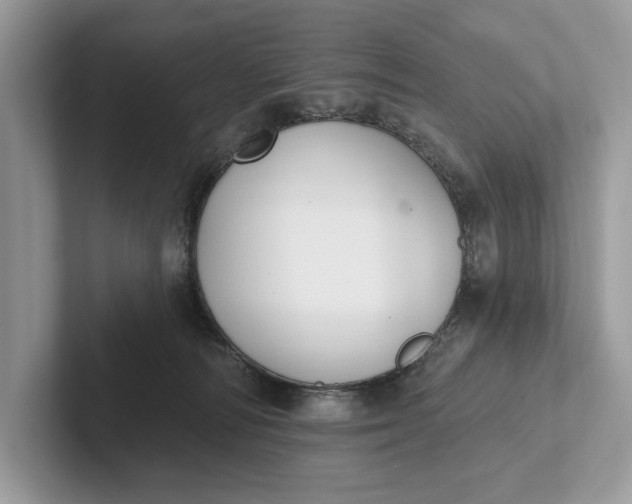 X0000101420226200807211135