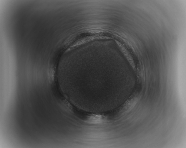 X0000101420227200807211135