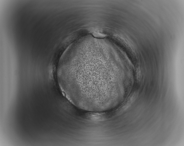 X0000101420229200807211135