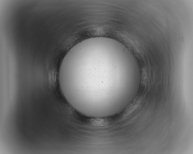 X0000101420230200807211135