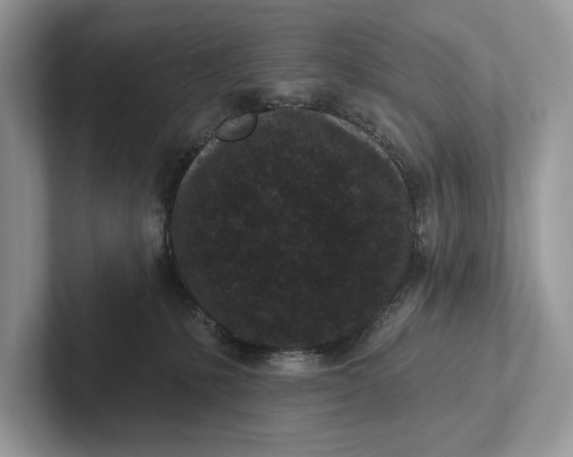 X0000101420231200807211135
