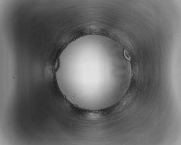 X0000101420232200807211135
