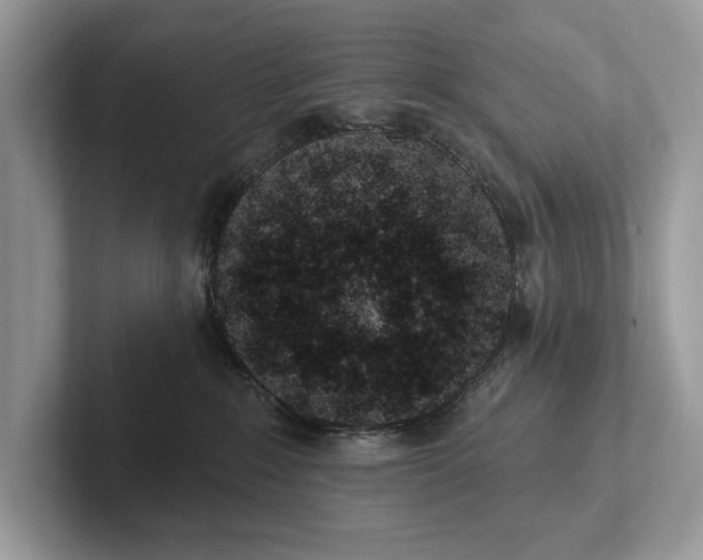 X0000101420235200807211135