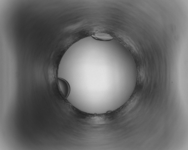X0000101420236200807211135