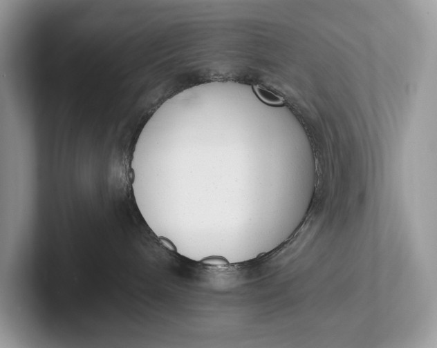 X0000101420240200807211135