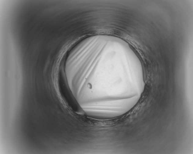 X0000101420241200807211135