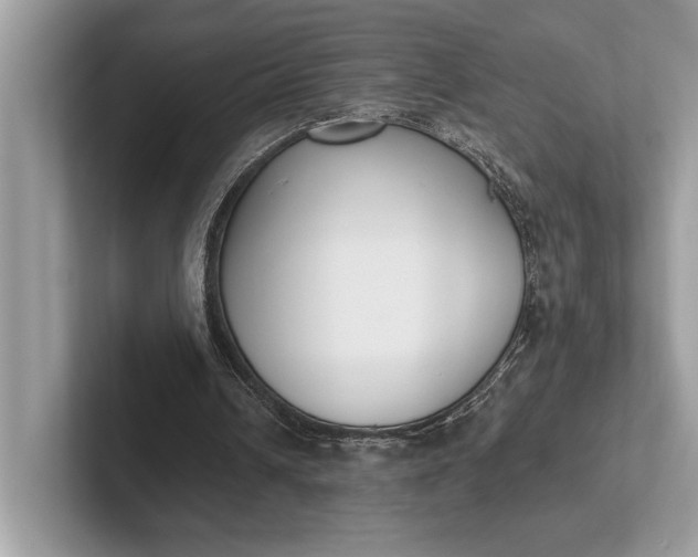 X0000101420242200807211135