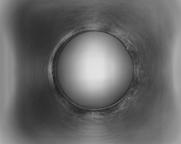 X0000101420244200807211135