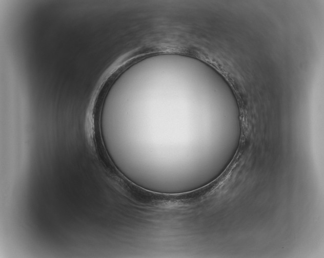 X0000101420246200807211135