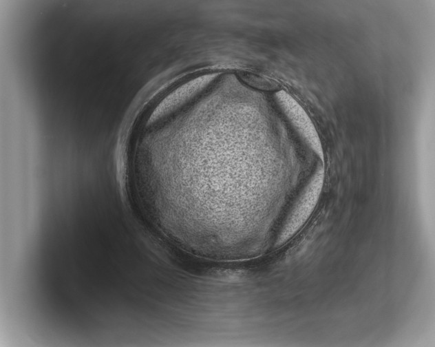 X0000101420247200807211135