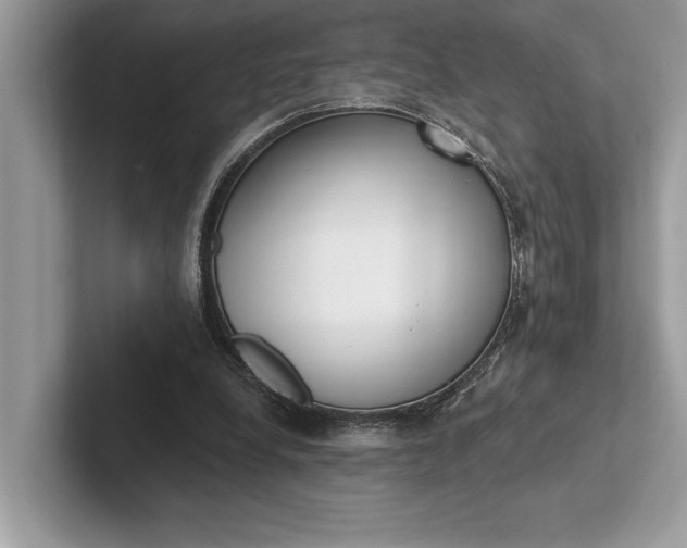 X0000101420248200807211135