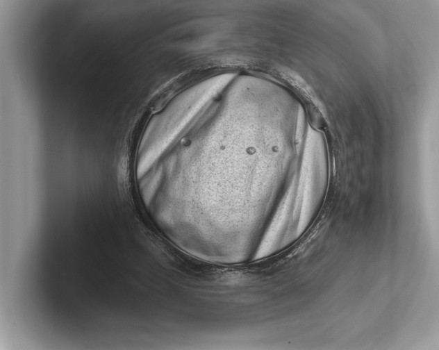 X0000101420249200807211135