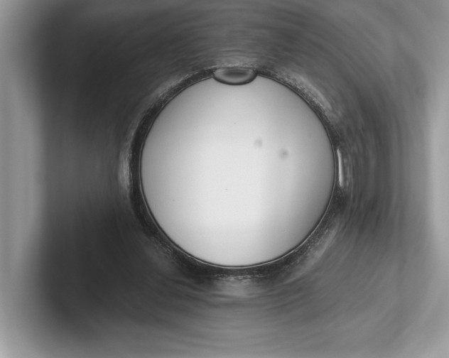 X0000101420252200807211135
