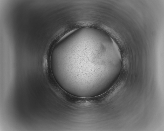 X0000101420254200807211135