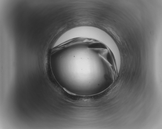 X0000101420260200807211135