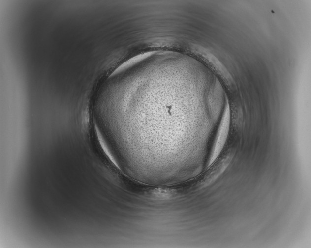 X0000101420261200807211135