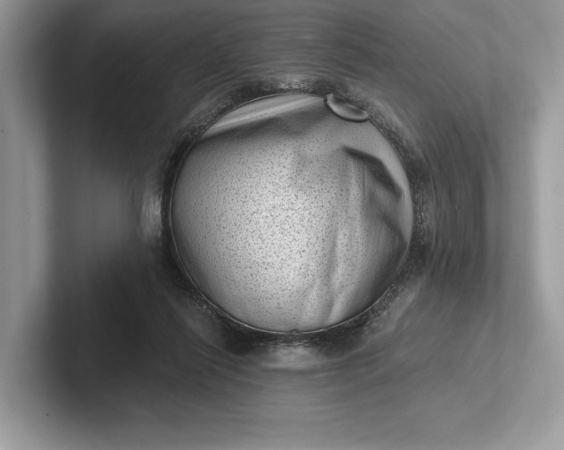 X0000101420262200807211135