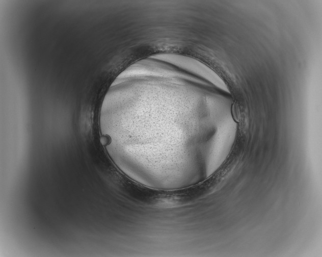 X0000101420263200807211135