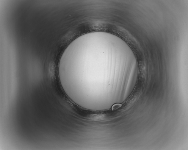 X0000101420266200807211135