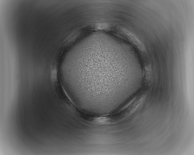 X0000101420269200807211135