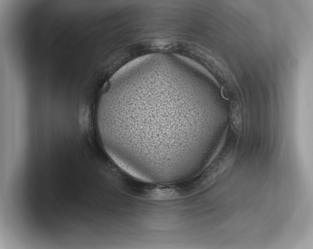 X0000101420270200807211135