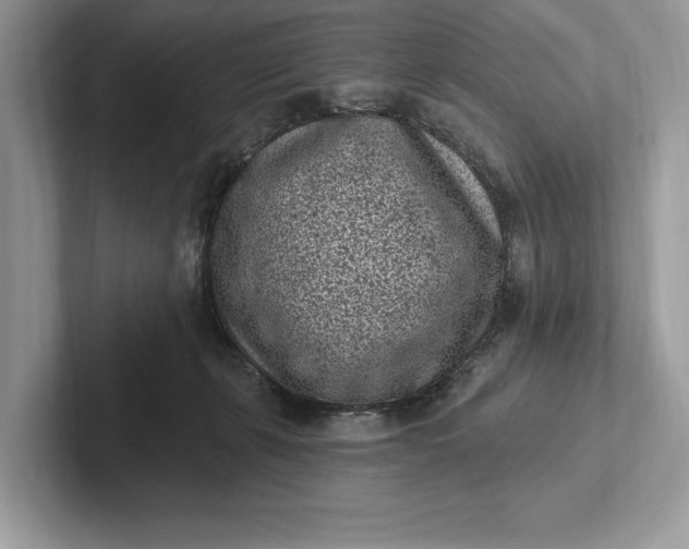 X0000101420271200807211135