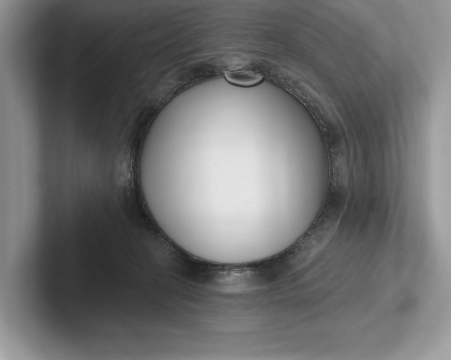 X0000101420274200807211135
