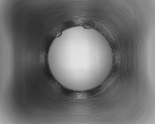 X0000101420275200807211135