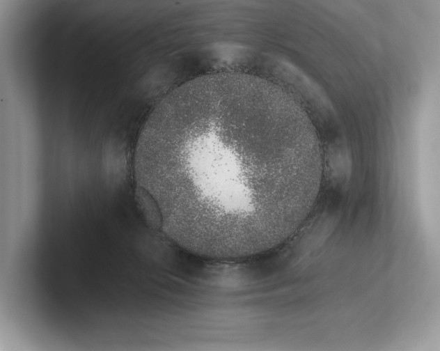 X0000101420276200807211135